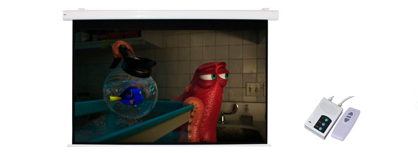 Pantalla motorizada de 400x300 cms