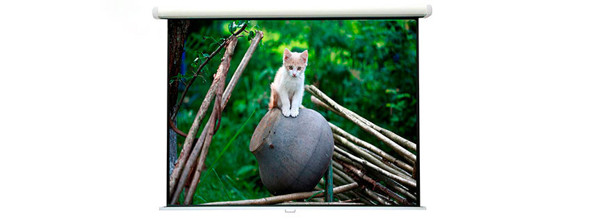 Pantalla para video proyector 203x203 cms