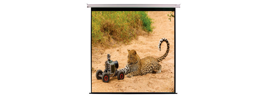 Telón eléctrico de proyección trasera de 3.00x3.00 cms