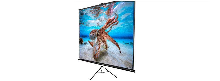 Telón tripode para video beam 280x210