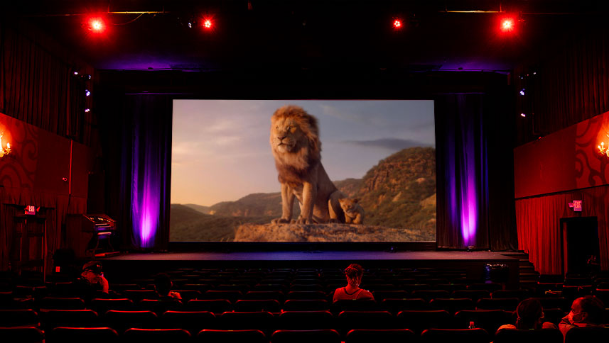 telon electrico 600 x 500 cm