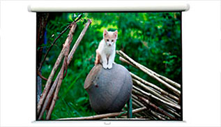 Pantalla para video proyector 203 x 203 cms