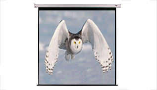 Telón eléctrico de proyección trasera de 300 x 300 cm